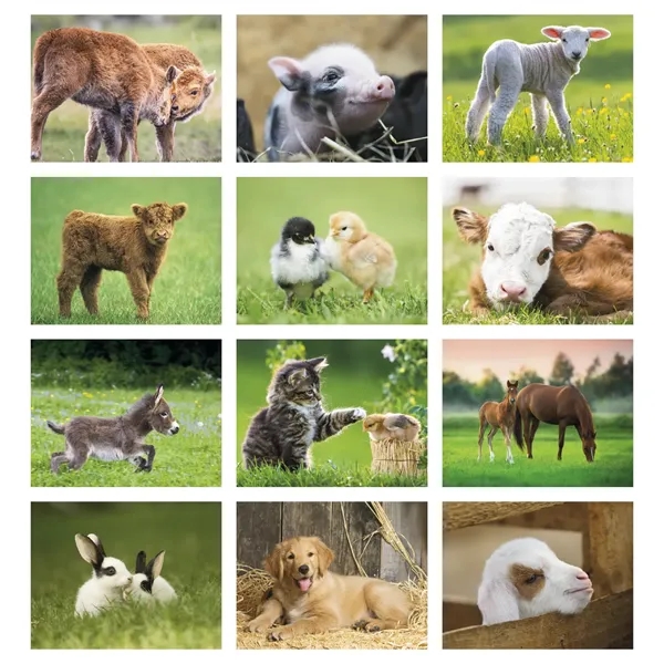 Good Value™ Baby Farm Animals - Stapled Calendar - Good Value™ Baby Farm Animals - Stapled Calendar - Image 4 of 6