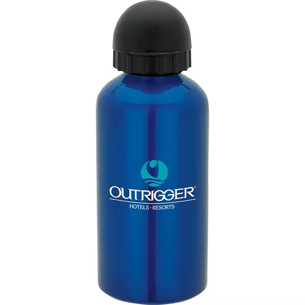 Custom 16.9 oz. Domed Flask