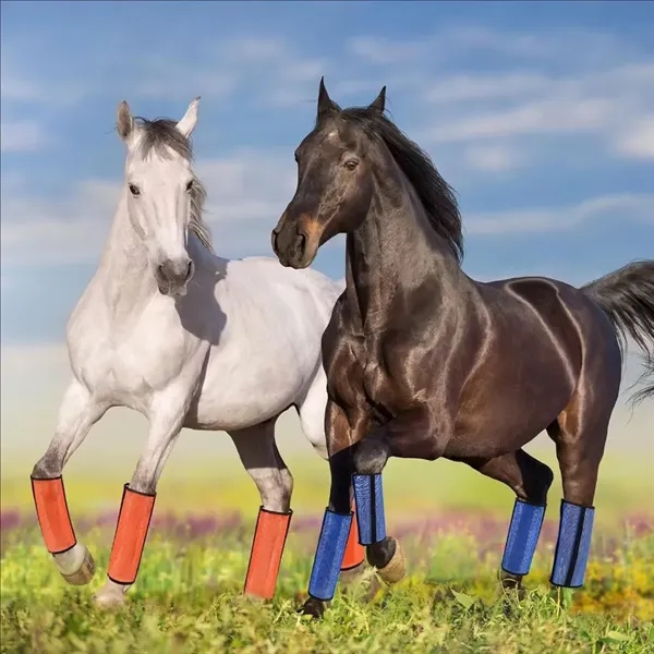 Horse Legs Breathable Mosquito-Repellent Cover - Horse Legs Breathable Mosquito-Repellent Cover - Image 6 of 7