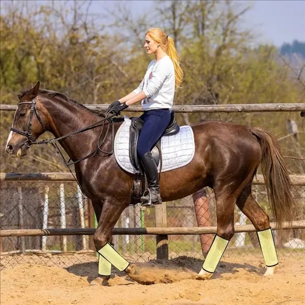 Horse Legs Breathable Mosquito-Repellent Cover - Horse Legs Breathable Mosquito-Repellent Cover - Image 7 of 7