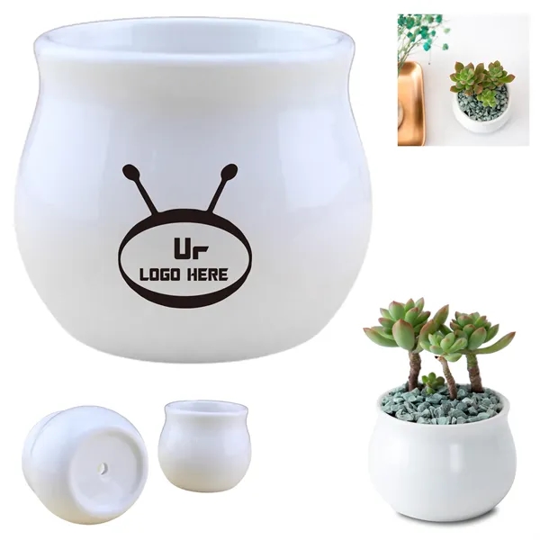 Round Ceramic Succulent Planters - Round Ceramic Succulent Planters - Image 0 of 1