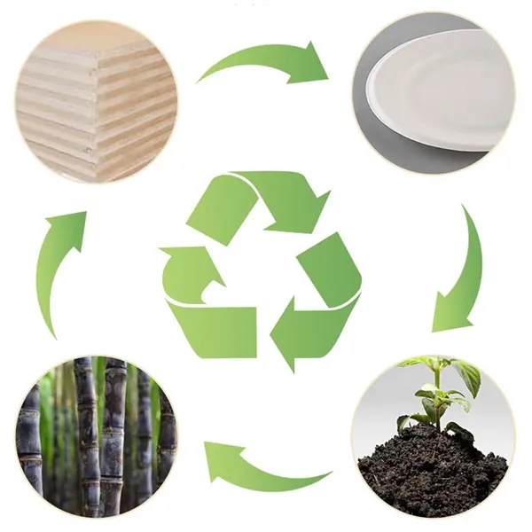 Dining 16oz food safe biodegradable disposable coffee cup - Dining 16oz food safe biodegradable disposable coffee cup - Image 2 of 4