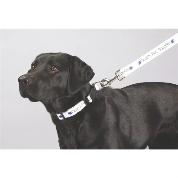 Full Color 1" Wide Premium Pet Leash - Full Color 1" Wide Premium Pet Leash - Image 0 of 0
