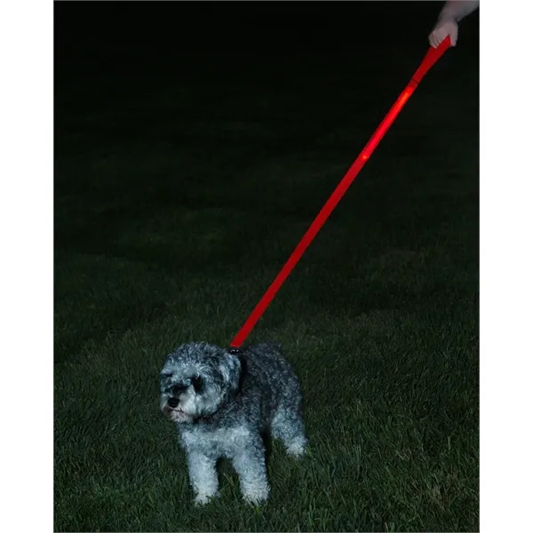 Rechargeable LED Light-Up Dog Leash - Rechargeable LED Light-Up Dog Leash - Image 9 of 23