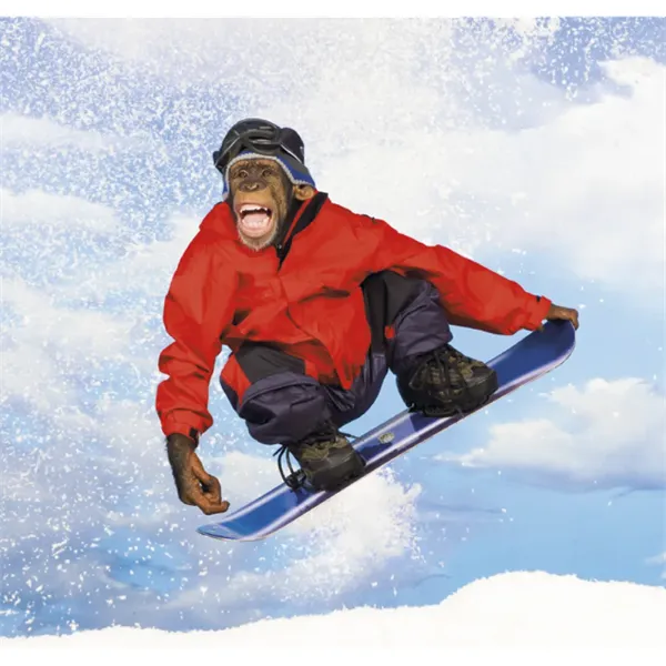 Triumph® Calendars Monkey Business Calendar - Triumph® Calendars Monkey Business Calendar - Image 11 of 22