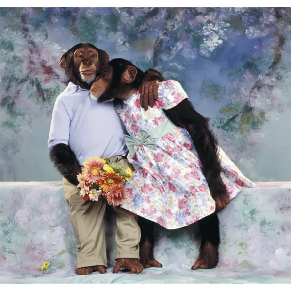 Triumph® Calendars Monkey Business Calendar - Triumph® Calendars Monkey Business Calendar - Image 12 of 22