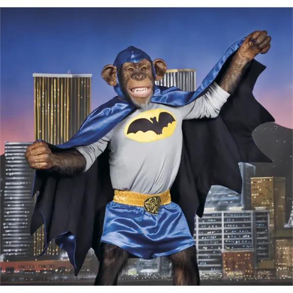 Triumph® Calendars Monkey Business Calendar - Triumph® Calendars Monkey Business Calendar - Image 13 of 22