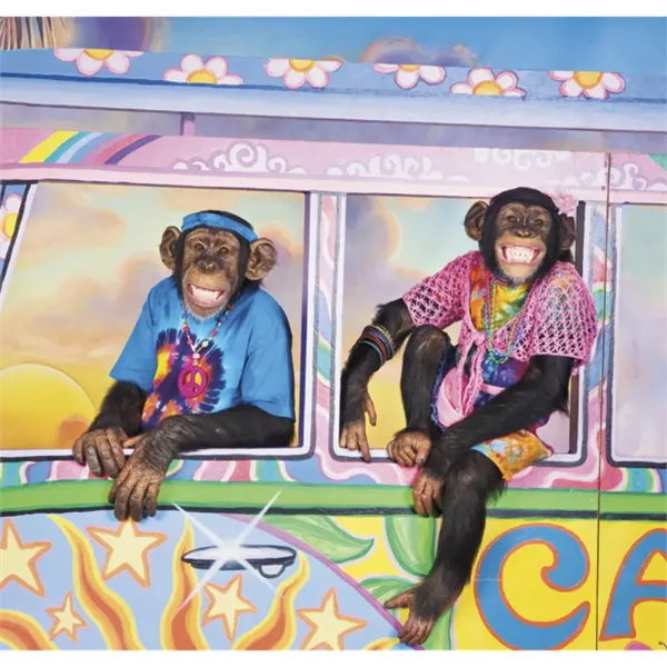 Triumph® Calendars Monkey Business Calendar - Triumph® Calendars Monkey Business Calendar - Image 14 of 22