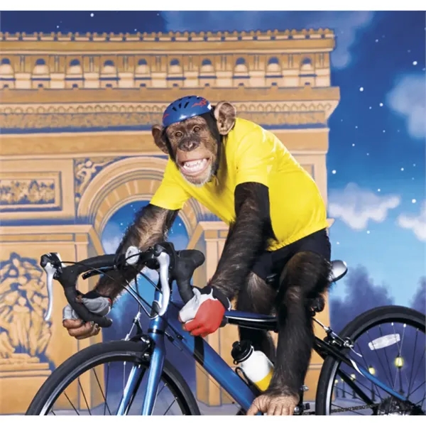 Triumph® Calendars Monkey Business Calendar - Triumph® Calendars Monkey Business Calendar - Image 17 of 22