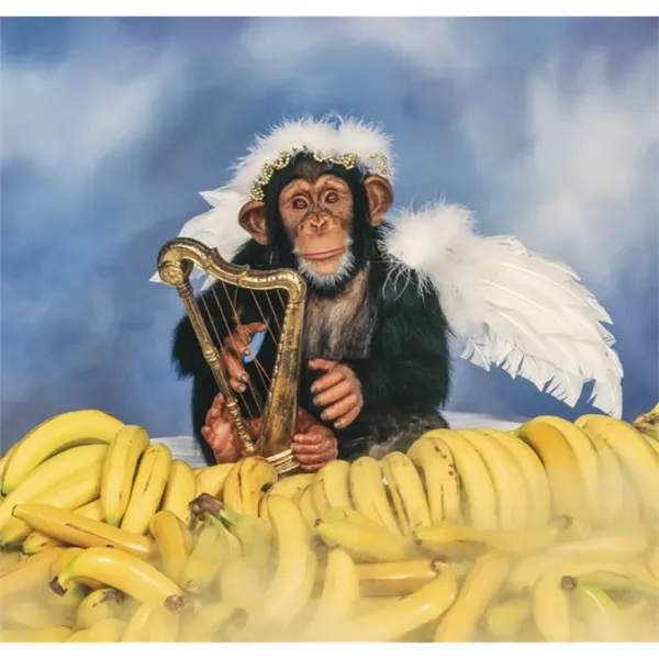 Triumph® Calendars Monkey Business Calendar - Triumph® Calendars Monkey Business Calendar - Image 21 of 22