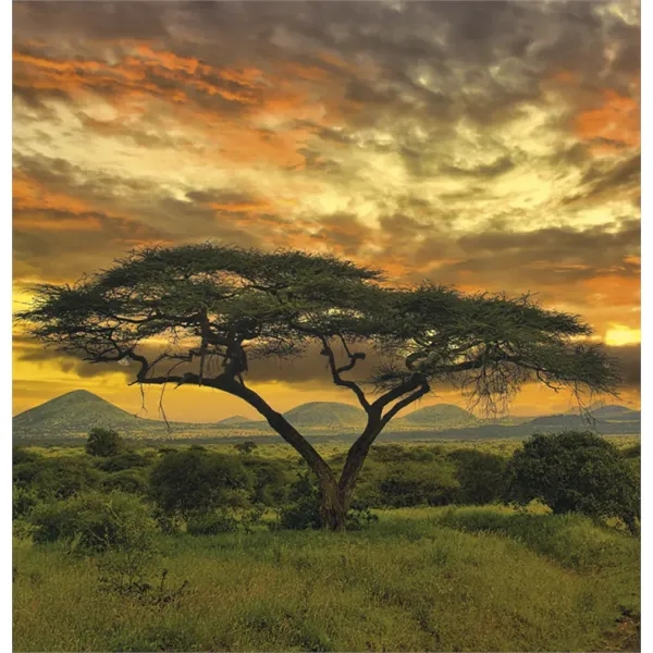 Triumph® Calendars World Scenic Calendar - Triumph® Calendars World Scenic Calendar - Image 15 of 24