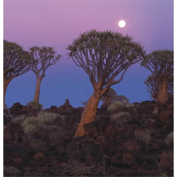 Triumph® Calendars World Scenic Calendar - Triumph® Calendars World Scenic Calendar - Image 17 of 24