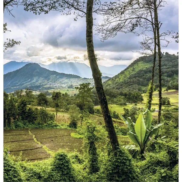 Triumph® Calendars World Scenic Calendar - Triumph® Calendars World Scenic Calendar - Image 19 of 24