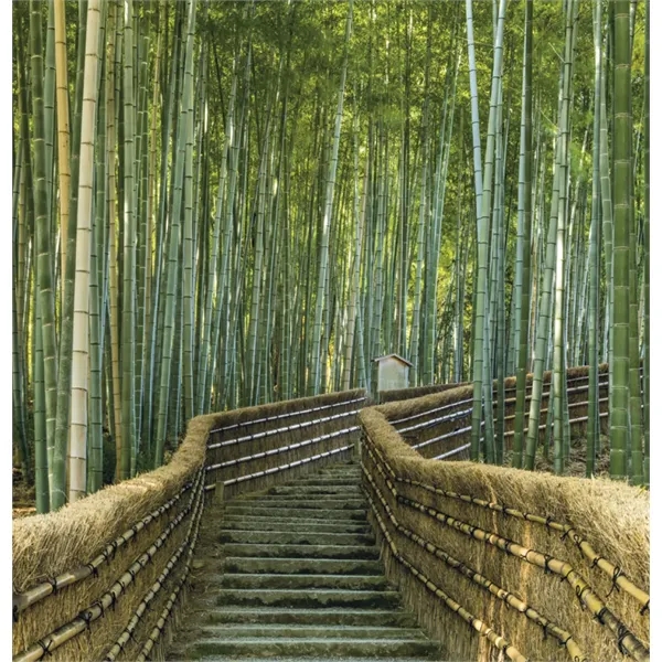 Triumph® Calendars World Scenic Calendar - Triumph® Calendars World Scenic Calendar - Image 21 of 24