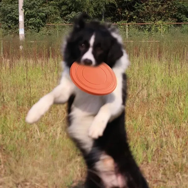 Pet Interactive Soft Frisbee - Pet Interactive Soft Frisbee - Image 3 of 3