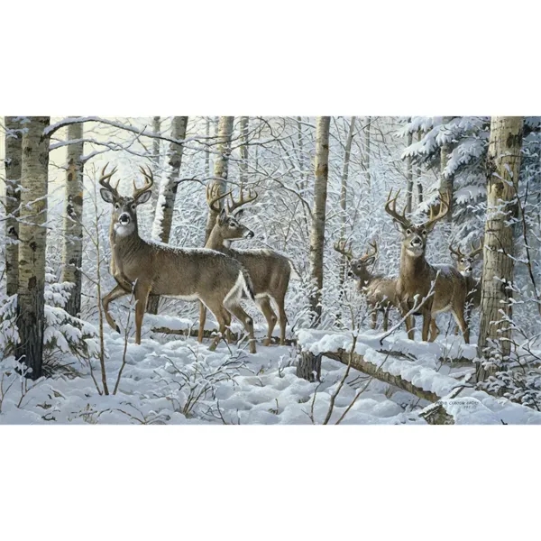 Triumph® Calendars Wildlife Art Calendar - Triumph® Calendars Wildlife Art Calendar - Image 9 of 20