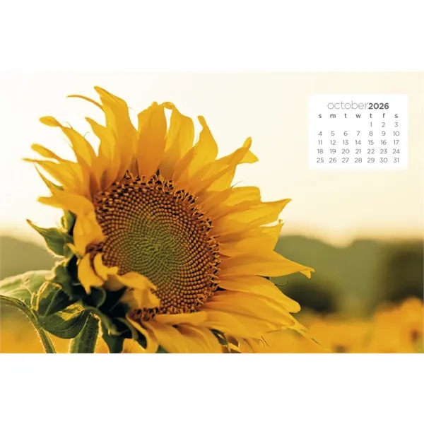 Triumph® Calendars Simplicity Large Desk Calendar - Triumph® Calendars Simplicity Large Desk Calendar - Image 36 of 38