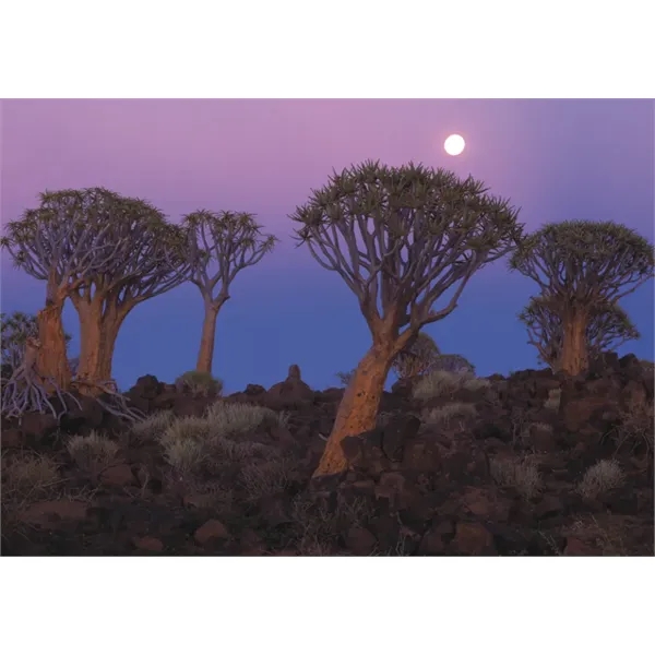 Triumph® Calendars World Scenic Calendar - Triumph® Calendars World Scenic Calendar - Image 23 of 30