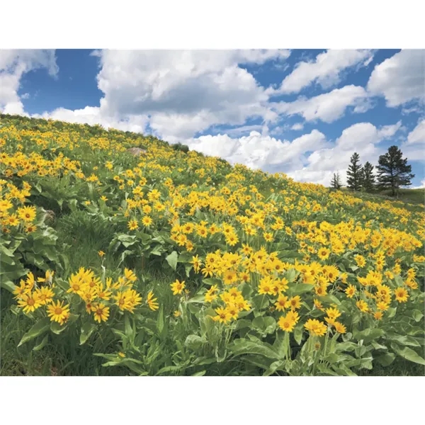 Triumph® Calendars American Splendor Calendar - Triumph® Calendars American Splendor Calendar - Image 20 of 28