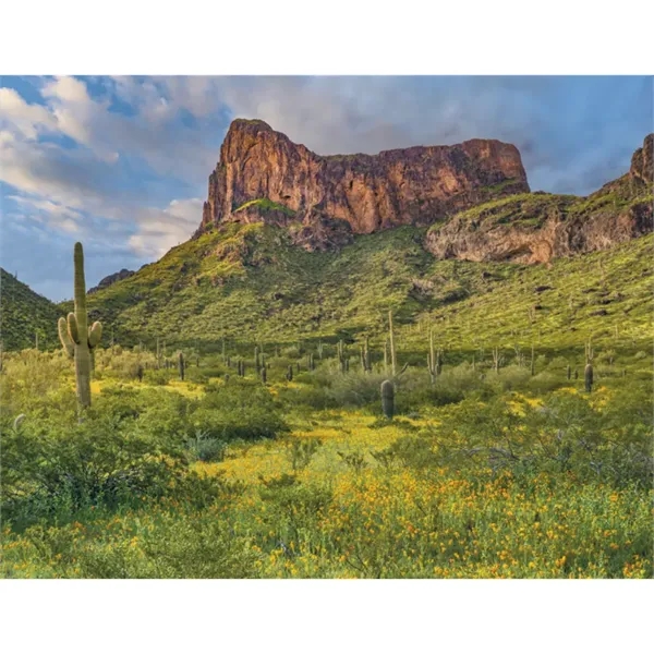 Triumph® Calendars American Splendor Calendar - Triumph® Calendars American Splendor Calendar - Image 24 of 28