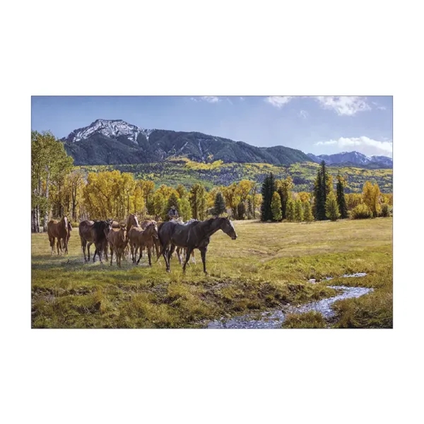Triumph® Calendars American West by Tim Cox Calendar - Triumph® Calendars American West by Tim Cox Calendar - Image 15 of 16