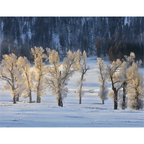 Products Scenic America® Appointment Calendar - Spiral - Products Scenic America® Appointment Calendar - Spiral - Image 19 of 31