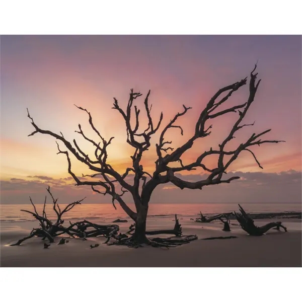 Products Scenic America® Appointment Calendar - Spiral - Products Scenic America® Appointment Calendar - Spiral - Image 21 of 31