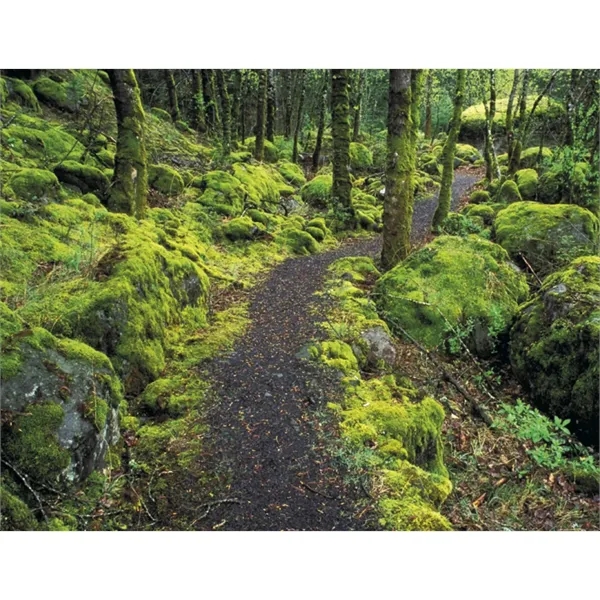 Products Contemplations Appointment Calendar - Spiral - Products Contemplations Appointment Calendar - Spiral - Image 26 of 31