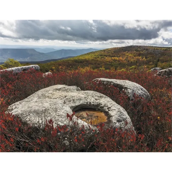 Products Contemplations Appointment Calendar - Spiral - Products Contemplations Appointment Calendar - Spiral - Image 30 of 31