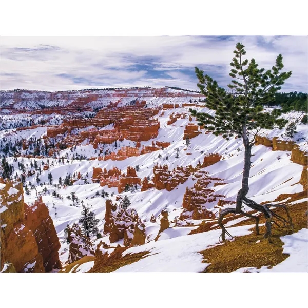 Good Value™ Landscapes of America - Spiral Calendar - Good Value™ Landscapes of America - Spiral Calendar - Image 20 of 31