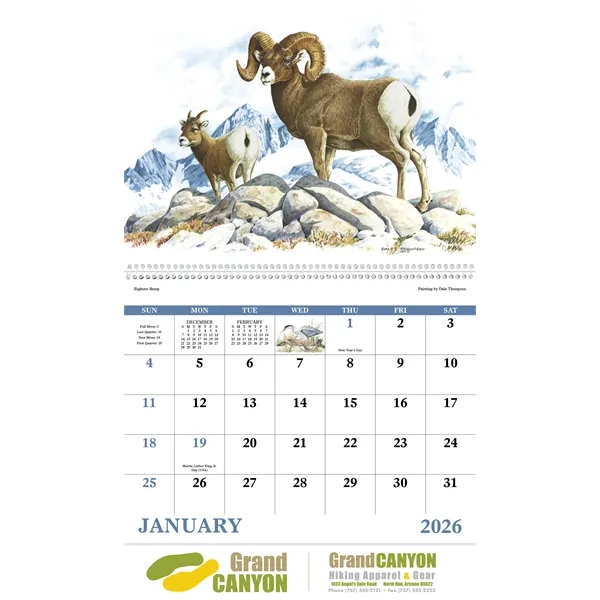 Good Value™ Wildlife Trek - Spiral Calendar - Good Value™ Wildlife Trek - Spiral Calendar - Image 15 of 31