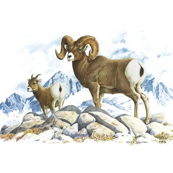 Good Value™ Wildlife Trek - Spiral Calendar - Good Value™ Wildlife Trek - Spiral Calendar - Image 20 of 31