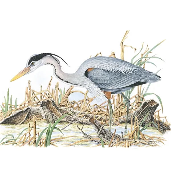 Good Value™ Wildlife Trek - Spiral Calendar - Good Value™ Wildlife Trek - Spiral Calendar - Image 21 of 31