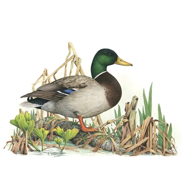 Good Value™ Wildlife Trek - Spiral Calendar - Good Value™ Wildlife Trek - Spiral Calendar - Image 25 of 31