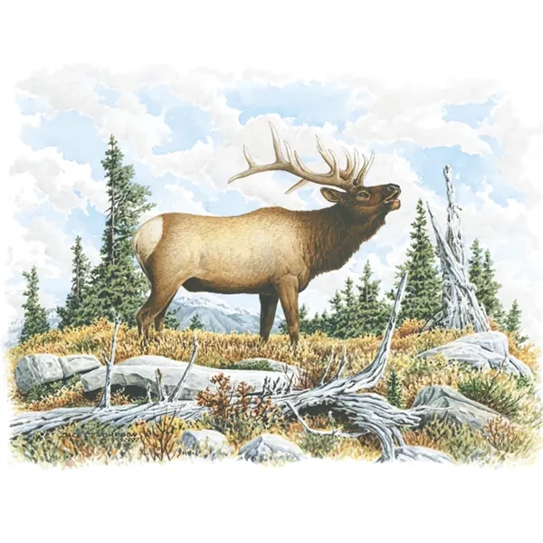 Good Value™ Wildlife Trek - Spiral Calendar - Good Value™ Wildlife Trek - Spiral Calendar - Image 29 of 31