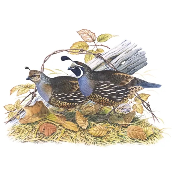 Good Value™ Wildlife Trek - Spiral Calendar - Good Value™ Wildlife Trek - Spiral Calendar - Image 30 of 31