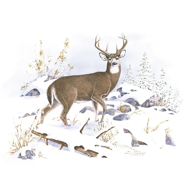 Good Value™ Wildlife Trek - Spiral Calendar - Good Value™ Wildlife Trek - Spiral Calendar - Image 31 of 31