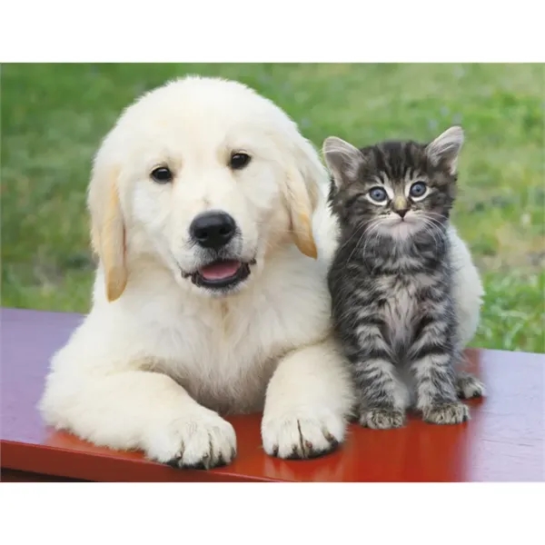 Good Value™ Puppies & Kittens - Spiral Calendar - Good Value™ Puppies & Kittens - Spiral Calendar - Image 20 of 31