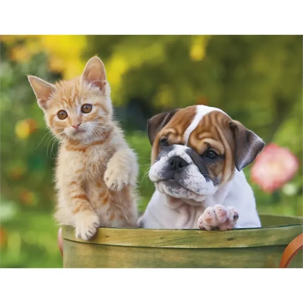 Good Value™ Puppies & Kittens - Spiral Calendar - Good Value™ Puppies & Kittens - Spiral Calendar - Image 22 of 31