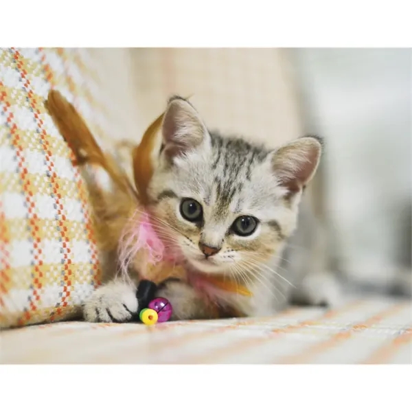 Good Value™ Puppies & Kittens - Spiral Calendar - Good Value™ Puppies & Kittens - Spiral Calendar - Image 24 of 31