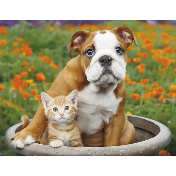 Good Value™ Puppies & Kittens - Spiral Calendar - Good Value™ Puppies & Kittens - Spiral Calendar - Image 25 of 31