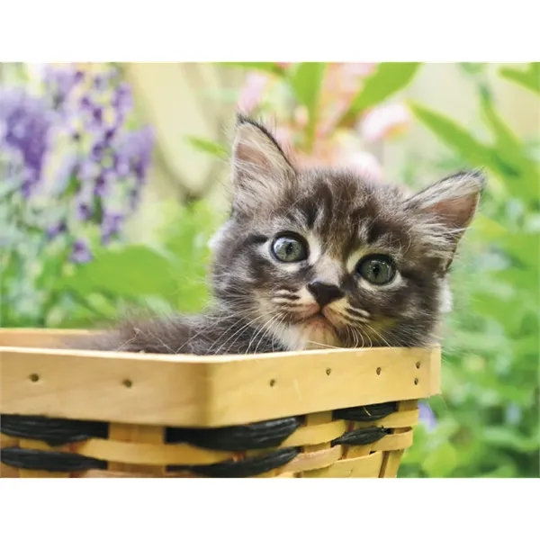 Good Value™ Puppies & Kittens - Spiral Calendar - Good Value™ Puppies & Kittens - Spiral Calendar - Image 26 of 31