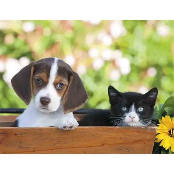 Good Value™ Puppies & Kittens - Spiral Calendar - Good Value™ Puppies & Kittens - Spiral Calendar - Image 30 of 31