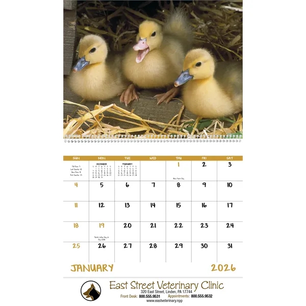 Good Value™ Baby Farm Animals - Spiral Calendar - Good Value™ Baby Farm Animals - Spiral Calendar - Image 13 of 29