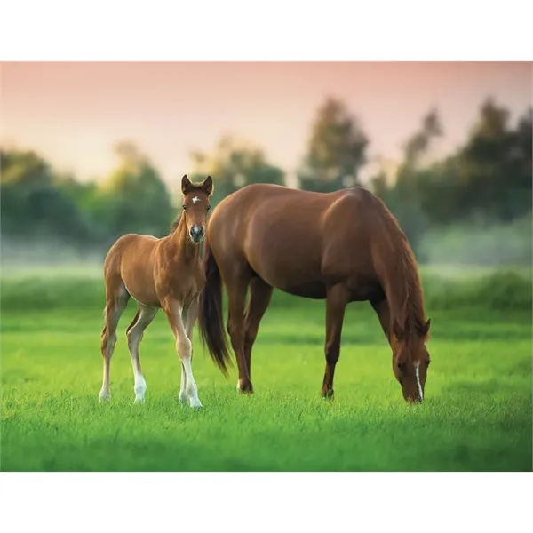 Good Value™ Baby Farm Animals - Spiral Calendar - Good Value™ Baby Farm Animals - Spiral Calendar - Image 26 of 29