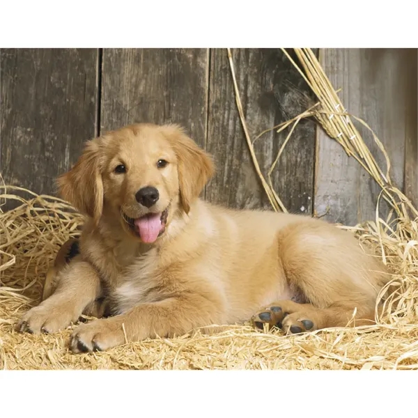 Good Value™ Baby Farm Animals - Spiral Calendar - Good Value™ Baby Farm Animals - Spiral Calendar - Image 28 of 29