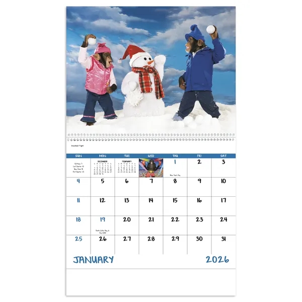 Good Value™ Monkey Mischief - Spiral Calendar - Good Value™ Monkey Mischief - Spiral Calendar - Image 17 of 30