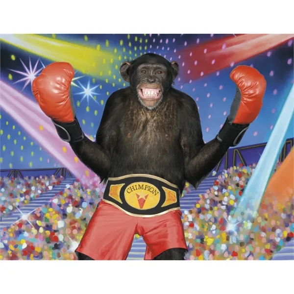 Good Value™ Monkey Mischief - Spiral Calendar - Good Value™ Monkey Mischief - Spiral Calendar - Image 20 of 30