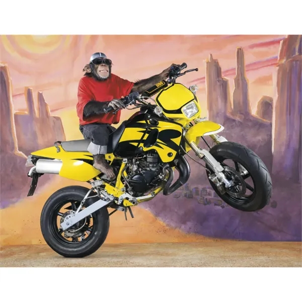 Good Value™ Monkey Mischief - Spiral Calendar - Good Value™ Monkey Mischief - Spiral Calendar - Image 21 of 30