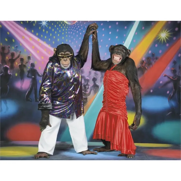 Good Value™ Monkey Mischief - Spiral Calendar - Good Value™ Monkey Mischief - Spiral Calendar - Image 22 of 30